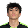 Manuel Ferreira Paiva
