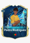 Pedro Simão Ferreira Rodrigues 
