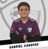 Gabriel Berbaran Teixeira Cardoso				