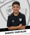 Duarte Lopes Carvalho				