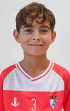 GUSTAVO TRAVASSOS LAPO