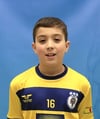 Gabriel Filipe Martins Silva 