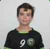 Henrique Fernando Santos Viais