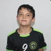 Pedro Perpétuo Simões laires Gonçalves 