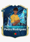Pedro Simão Ferreira Rodrigues 