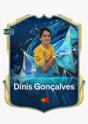 Dinis Domingos Almeida Gonçalves 