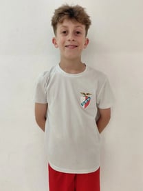 Gabriel Lopes Almeida
