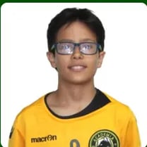 Afonso Venceslau Ferreira Lucas 