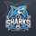 Oceanic Sharks FC