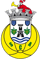 SC Arcozelo - Sub 13