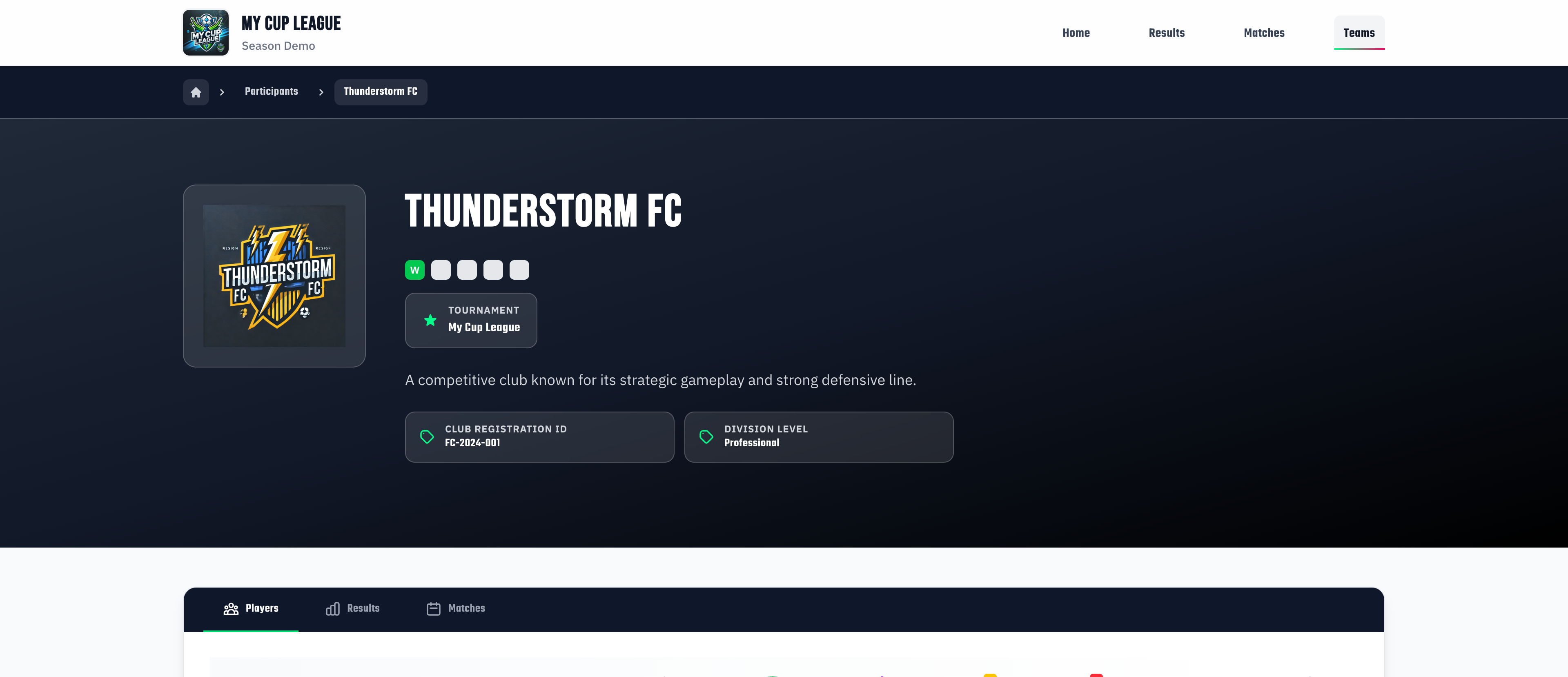 Public team page showing custom attributes like Club Registration ID and Division Level displayed as info cards